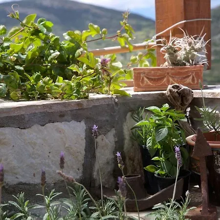Сasa de vacaciones Chrisa' S Country House Naxos City