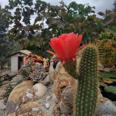 Chrisa' S Country House Сasa de vacaciones Naxos City